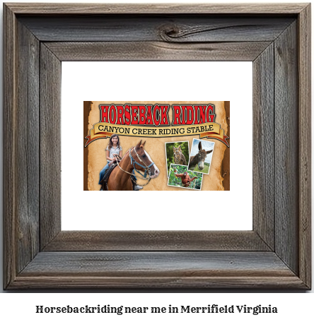 horseback riding near me in Merrifield, Virginia